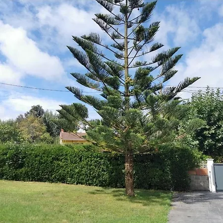 Nela Apartmán Loredo