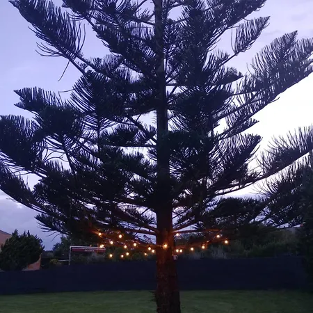 Lägenhet Nela Loredo