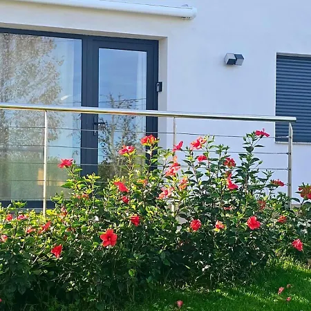 Lägenhet Nela Loredo