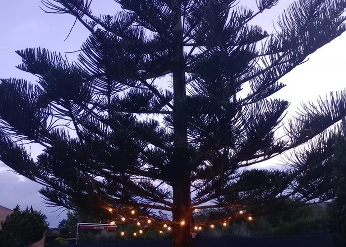 아파트 Nela 로레도